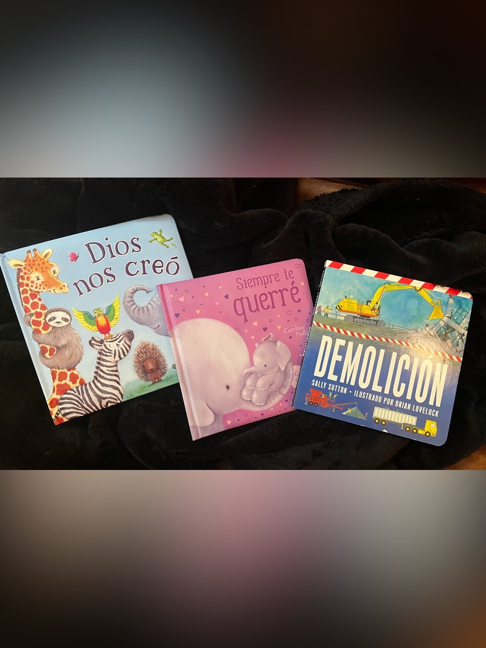 Lot of New Children’s Spanish Books
